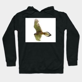 Kestrel in flight Hoodie